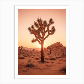  Photograph Of A Joshua Trees At Dawn In Desert 3 Art Print