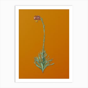 Vintage Scarlet Martagon Lily Botanical on Sunset Orange n.0686 Art Print
