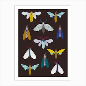 Moths At Night Art Print