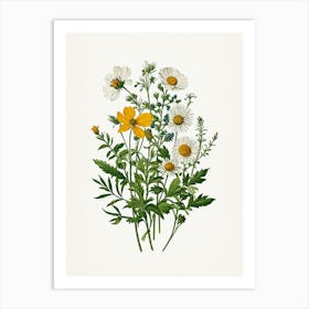 Vintage Botanical Galleria Style Wildflower Painting 30 Art Print