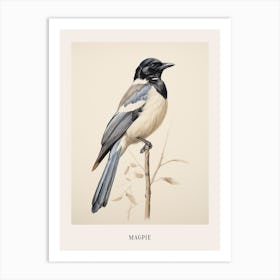 Vintage Bird Drawing Magpie 2 Poster Art Print