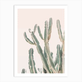 Sunset Cactus I Art Print