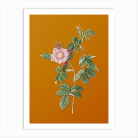 Vintage Big Flowered Dog Rose Botanical on Sunset Orange Art Print