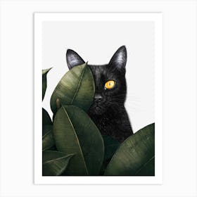Black Cat In Ficus Art Print