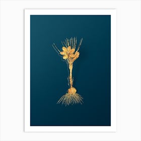 Vintage Crocus Sativus Botanical in Gold on Teal Blue n.0040 Art Print