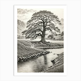 highly detailed pencil sketch of oak tree next to stream, mountain background 6 Art Print