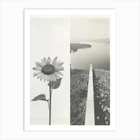 Sunflower Flower Photo Collage 2 Art Print