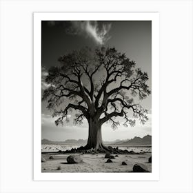 Namibia Tree Art Print