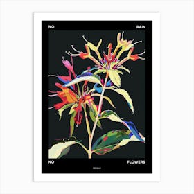 No Rain No Flowers Poster Bee Balm 2 Art Print