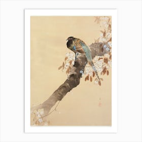 Pheasant On Cherry Blossom Branch (1887 1945), Ohara Koson Art Print