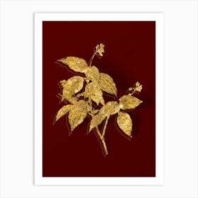 Vintage Tradescantia Erecta Botanical in Gold on Red n.0230 Art Print