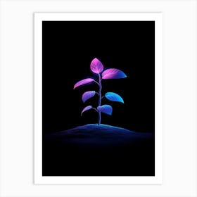 Plant On The Ground 1 Art Print