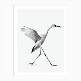 Greater Flamingo B&W Pencil Drawing 3 Bird Art Print