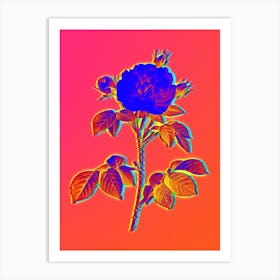 Neon Rosa Alba Botanical in Hot Pink and Electric Blue n.0105 Art Print