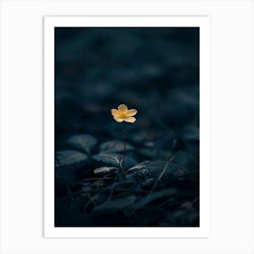 Single Flower In The Dark 87 Art Print