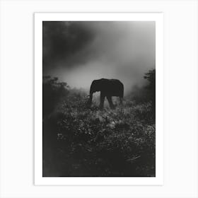 Elephant In The Fog Art Print