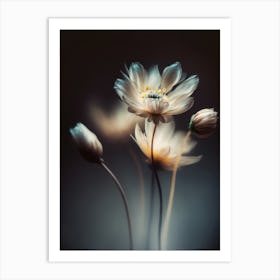 Growing At Night Art Print