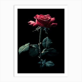 Red Rose 47 Art Print