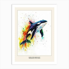 Killer Whale Colourful Watercolour 3 Poster Art Print