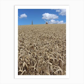 Fields of gold Art Print