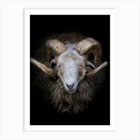 Ram Portrait Art Print