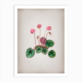 Vintage Shore Cyclamen Flower Botanical on Parchment n.0252 Art Print