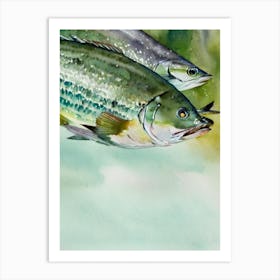 Mackerel II Storybook Watercolour Art Print