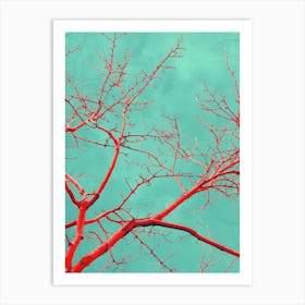 Red Tree Branches Against Blue Sky Art Print