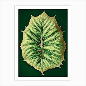 Betel Leaf Vintage Botanical 3 Art Print