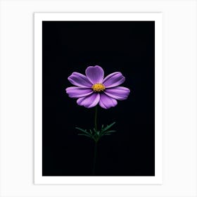 Purple Cosmos Flower 1 Art Print