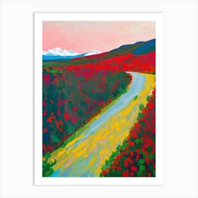 Denali National Park And Preserve United States Of America Abstract Colourful Art Print