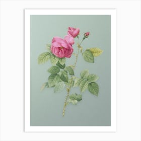 Vintage Pink Bourbon Roses Botanical Art on Mint Green n.0716 Art Print