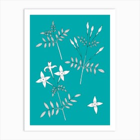 Jasmine Flowers On Blue Green Art Print