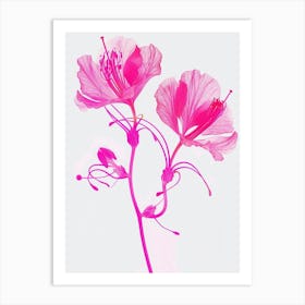 Hot Pink Peacock Flower 1 Art Print