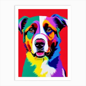 Bernese Mountain Dog Andy Warhol Style Dog Art Print