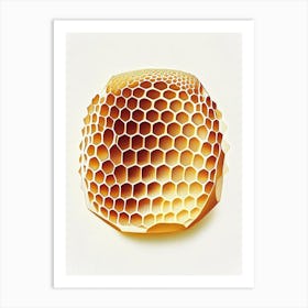 Close Up Of Honeycomb 3 Vintage Art Print
