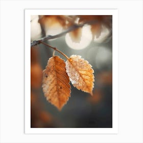 Autumn Impression Art Print