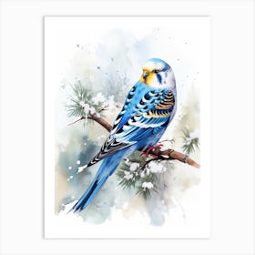 Snowy Budgie Illustration 3 Art Print