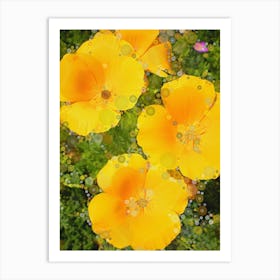 California Poppies Art Print