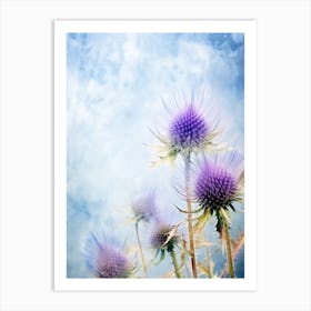 Thistle On Blue Sky Art Print