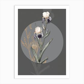 Vintage Botanical Elder Scented Iris on Circle Gray on Gray n.0225 Art Print