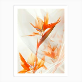 Bird Of Paradise 2 Art Print