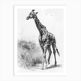 Giraffe In The Grass Pencil Drawing 2 Art Print