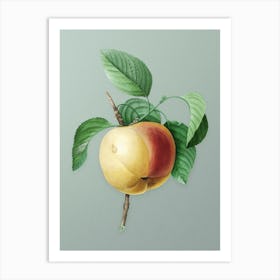 Vintage Snow Calville Apple Botanical Art on Mint Green n.0063 Art Print