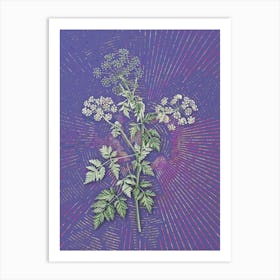 Vintage Hemlock Flowers Botanical Illustration on Veri Peri n.0076 Art Print