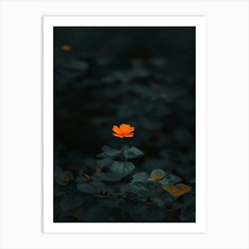 Single Flower In The Dark 62 Art Print