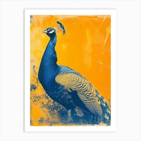 Orange & Blue Peacock Portrait 2 Art Print