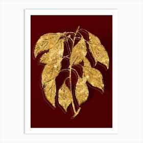 Vintage Camphor Tree Botanical in Gold on Red n.0332 Art Print