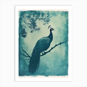 Vintage Blue Tones Peacock Photograph Inspired 2 Art Print