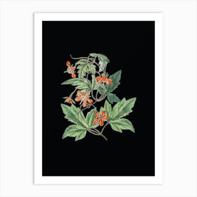 Vintage Red Loasa Flower Botanical Illustration on Solid Black n.0799 Art Print